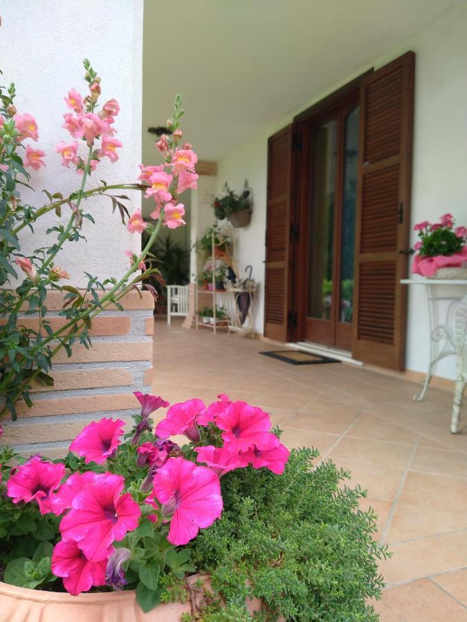 B&B Il Cantico Greccio Εξωτερικό φωτογραφία