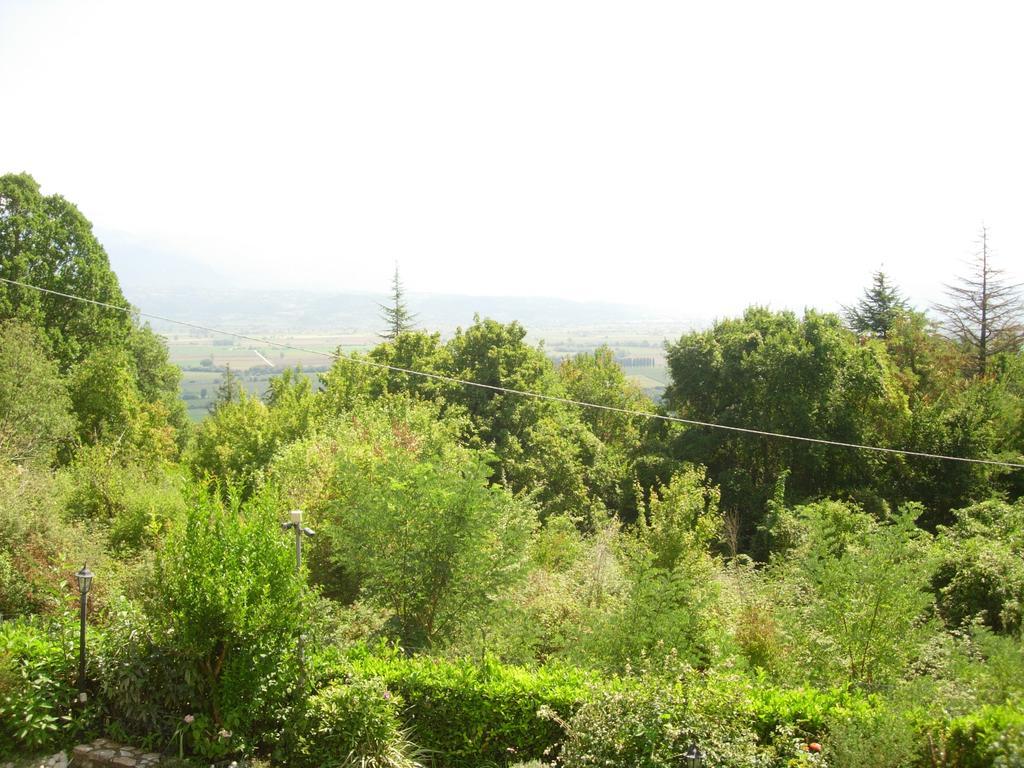 B&B Il Cantico Greccio Δωμάτιο φωτογραφία