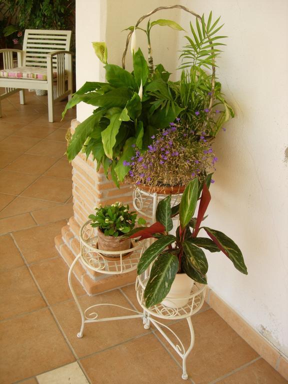B&B Il Cantico Greccio Δωμάτιο φωτογραφία